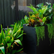 Planter