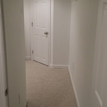 Basement Remodel