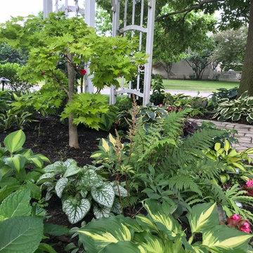 Residential Shade Garden