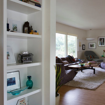 Mid-Century Modern Bachelor Pad