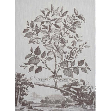 Wall Art Print Inspired by Abraham Munting Muntings Tree Flower 29x40