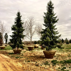 Farms - Gardening And Lawn Care