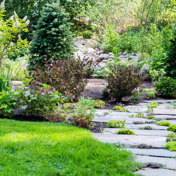 Woodland Garden