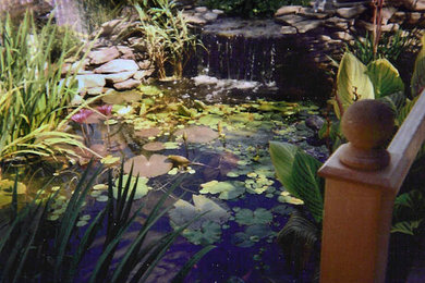 Design ideas for a traditional landscaping in Other.