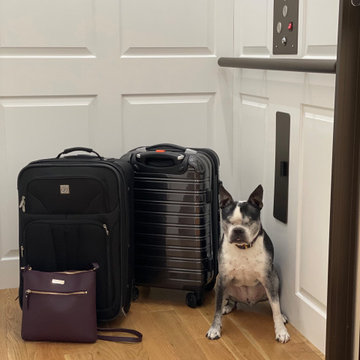 Doggie-vator