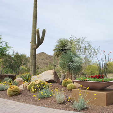 Cave Creek