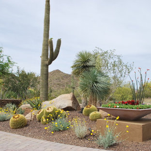 75 Beautiful Southwestern Landscaping Pictures & Ideas | Houzz