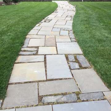 Historic Yard Restoration