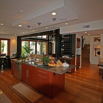Santa Monica remodel