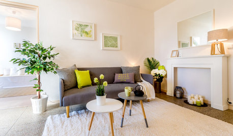 Comment nettoyer un tapis et de la moquette ?