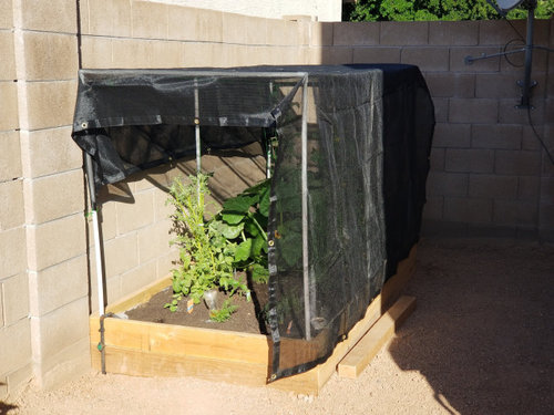 raised garden bed phoenix