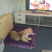 Foto von Gail Platt