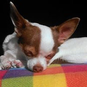Michelle Rowe's photo