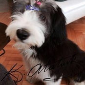 Nese Mucek's photo