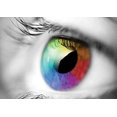 OMNI Interiors's profile photo