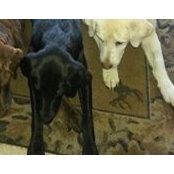 Chris Braunseis's photo