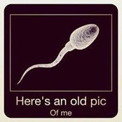 Roger Swain's photo
