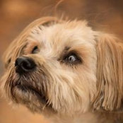 Eileen Woodside's photo