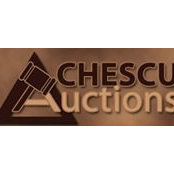 Chescu Auctionss billede