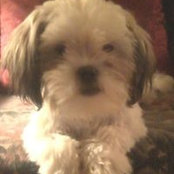 Debbie Bazan's photo
