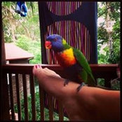 Foto von Elizabeth Tadic