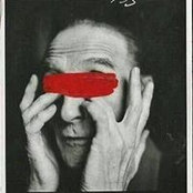 Photo de Neda Taheri Nejad