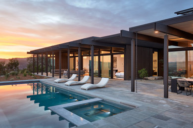 Design ideas for a modern pool in San Francisco.