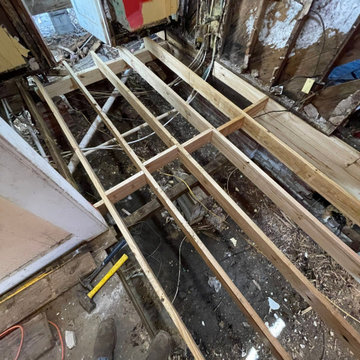 Termite Damage Is at it Again
