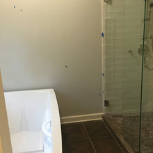 Bathroom reno