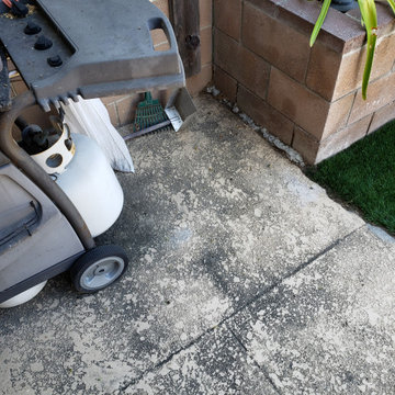 Backyard clean up and remodel