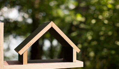 DIY: Ein minimalistisches Vogelhaus selber bauen