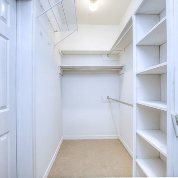 Whole House Remodel