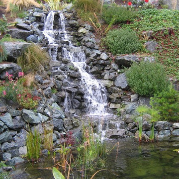 Water Features