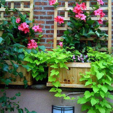 NYC Terrace Design: Roof Garden, Planter Boxes, Trellis, Brick Wall, Vines