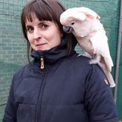 Emma Carlinm's photo
