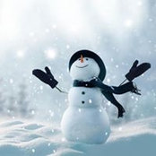 Vicki Wallace's photo