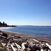Kim Bowman's photo