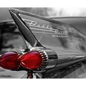 Patrick McManus's photo