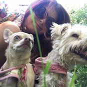 Foto von Dianne Quinney