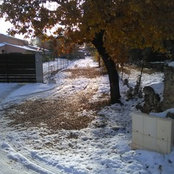 Claude's photo