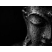 Tony Williams's photo