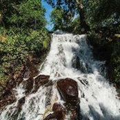 San Atlixco's photo