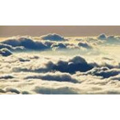 Fran Lee's photo