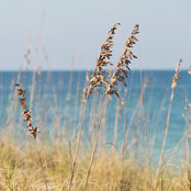 Kristi Hoskinson's photo