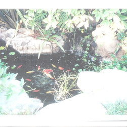 landscape - Products