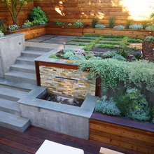 Ulloa Backyard