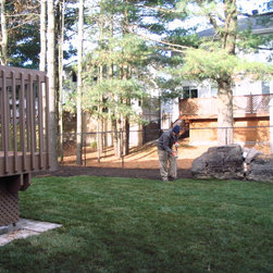 New Sod Installation - Bulbs And Seeds