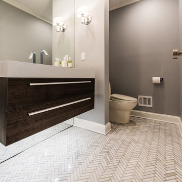 Potomac, MD Transitional Master Bath and House Reno