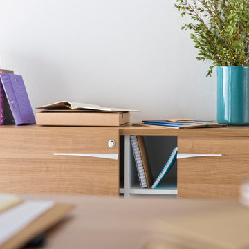 Office Collections