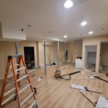 Basements alteration and renovation - Succasuna